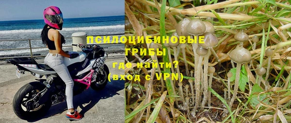 хмурый Армянск