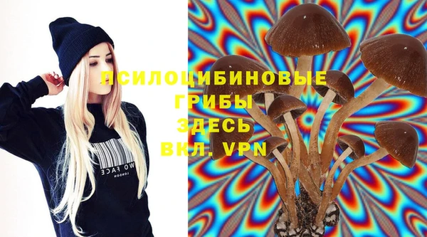 синтетический гашиш Арсеньев