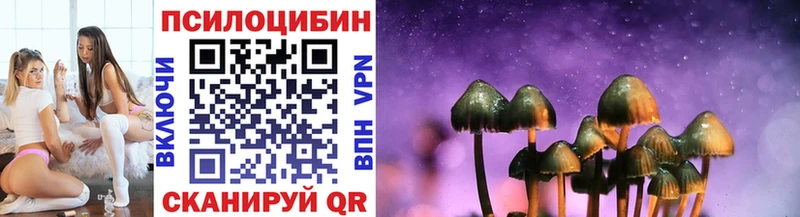 Галлюциногенные грибы Psilocybe  Купить  Билибино 